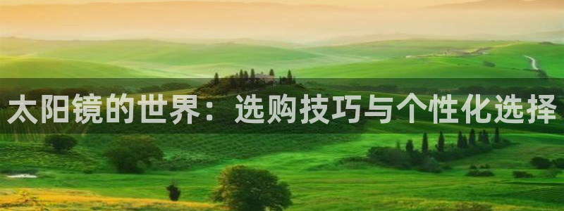 信誉辉达娱乐平台