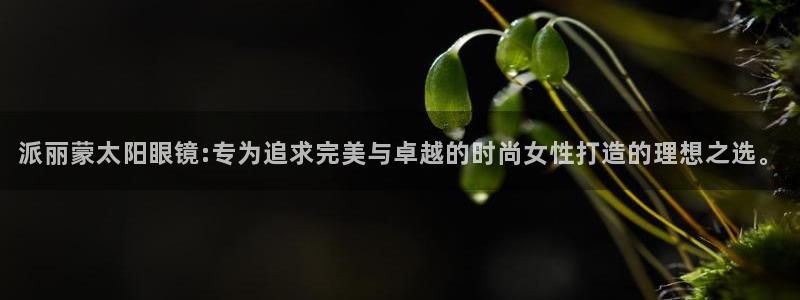 辉达娱乐五39444