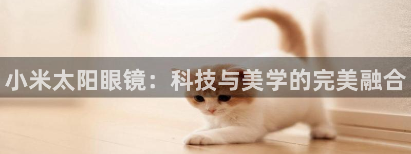 辉达娱乐最新现状