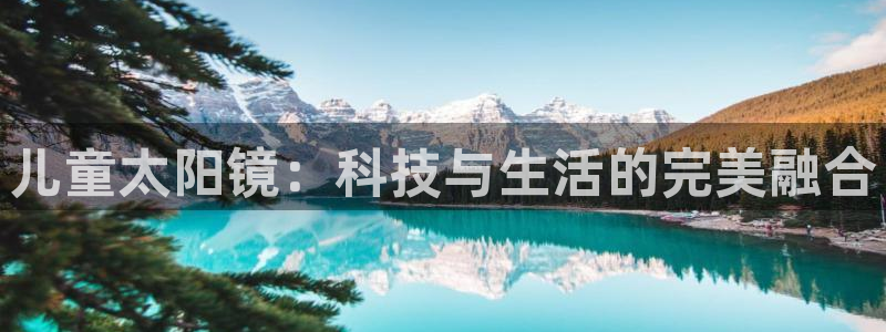 辉达娱乐