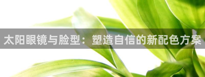 辉达娱乐计划软件
