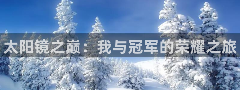 辉达娱乐