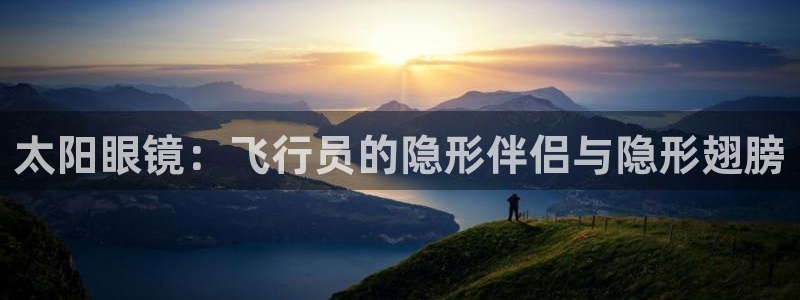 辉达平台官网电话