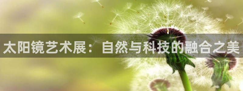 辉达娱乐总部