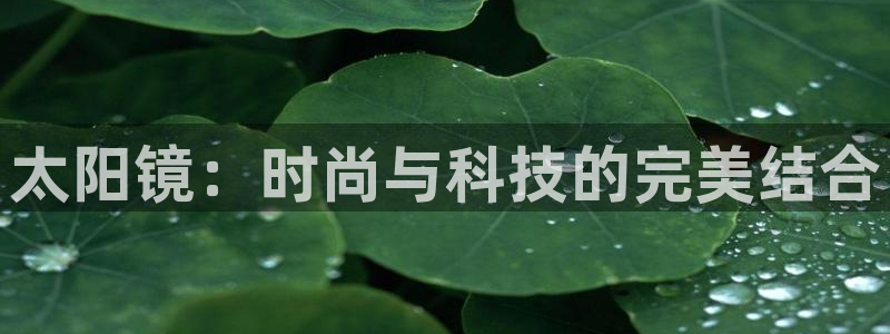 辉达娱乐兼职