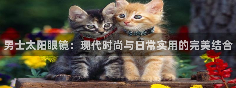 辉达娱乐检测