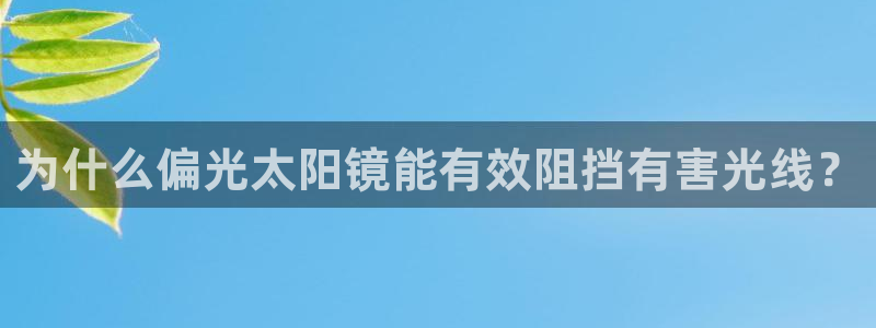 达利娱乐王辉