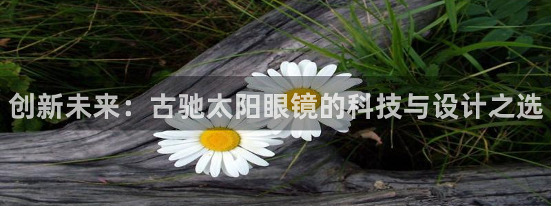 专业辉达娱乐在线游戏