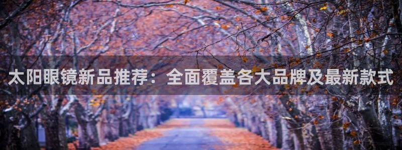 代理辉达娱乐官方网址