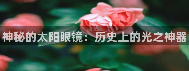 辉达娱乐多少年