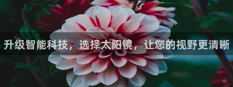 辉达娱乐丨39444